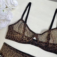 Ensemble de lingerie porte-jarretelles léopard transparent sauvage